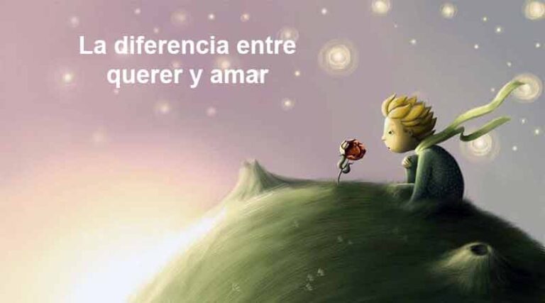 Diferencia entre querer y amar en El Principito: Una reflexión profunda ※