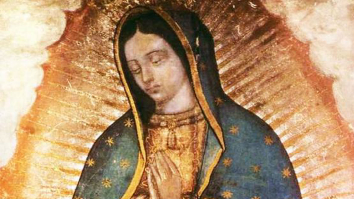 Flores en el vestido de la Virgen de Guadalupe: historia y significado ※