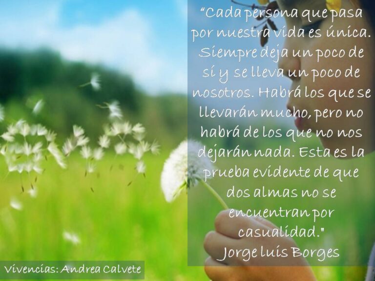 La importancia de las personas que pasan por nuestra vida: reflexiones ※